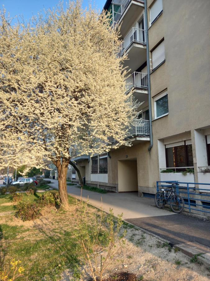 Apartment Jarun Comfort Zagreb Exterior photo
